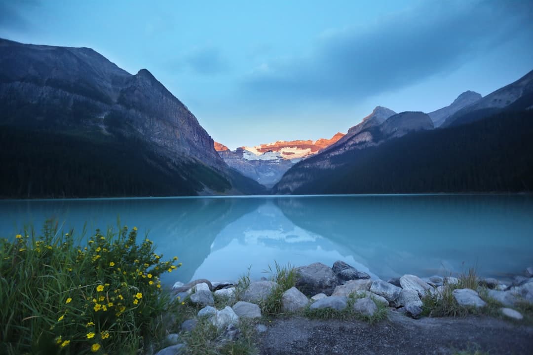 Bodas en Banff