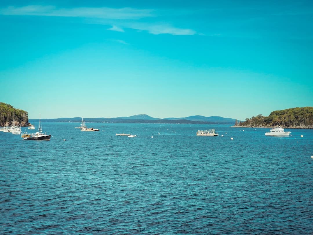 Bodas en Bar Harbor