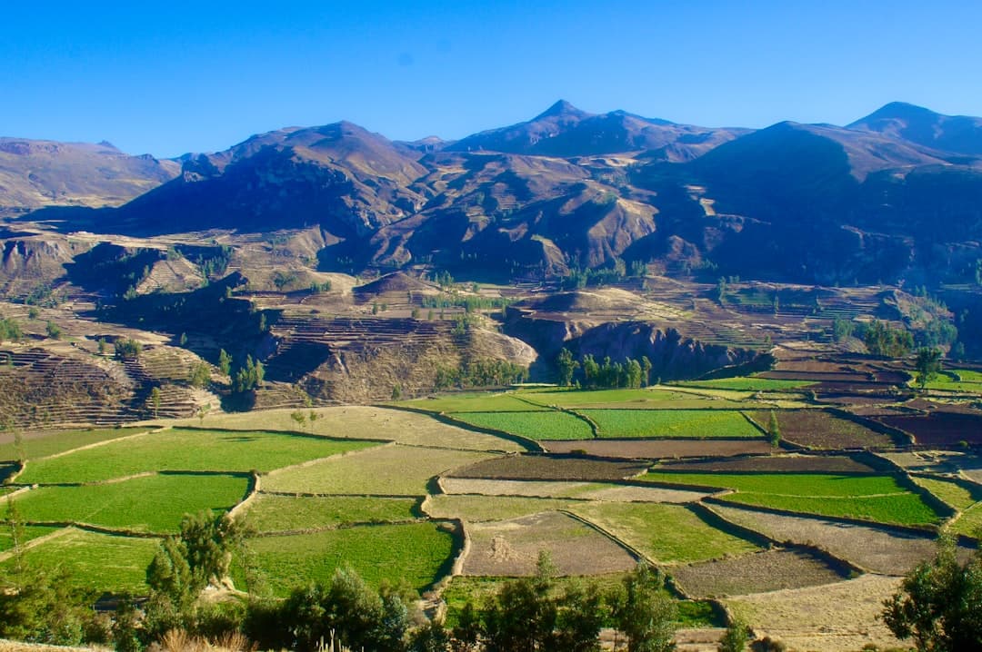 Arequipa