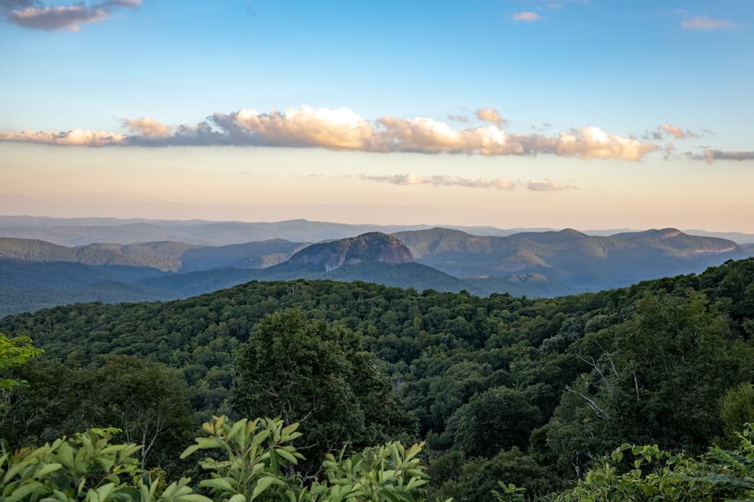 Asheville