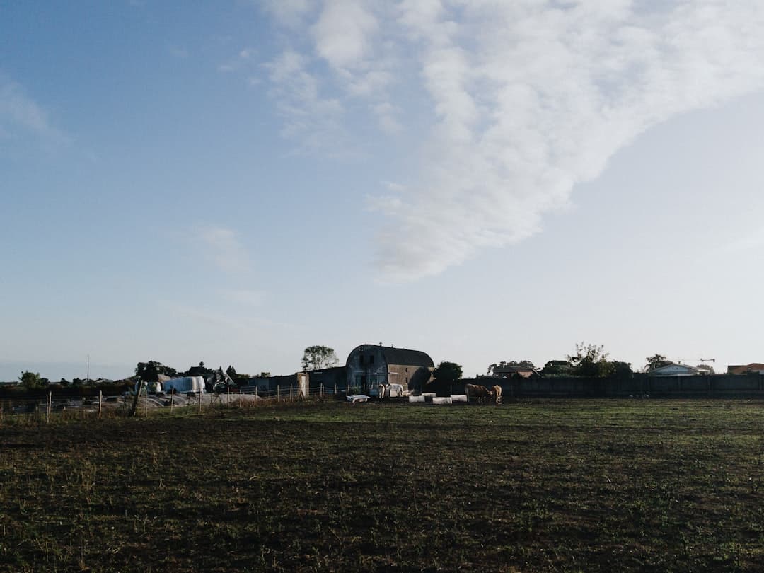 Bodas en Aveiro