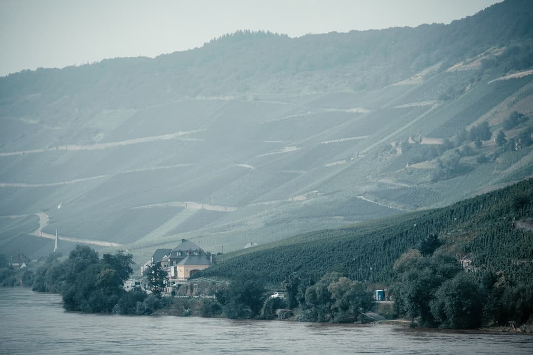 Bodas en Bernkastel-Kues