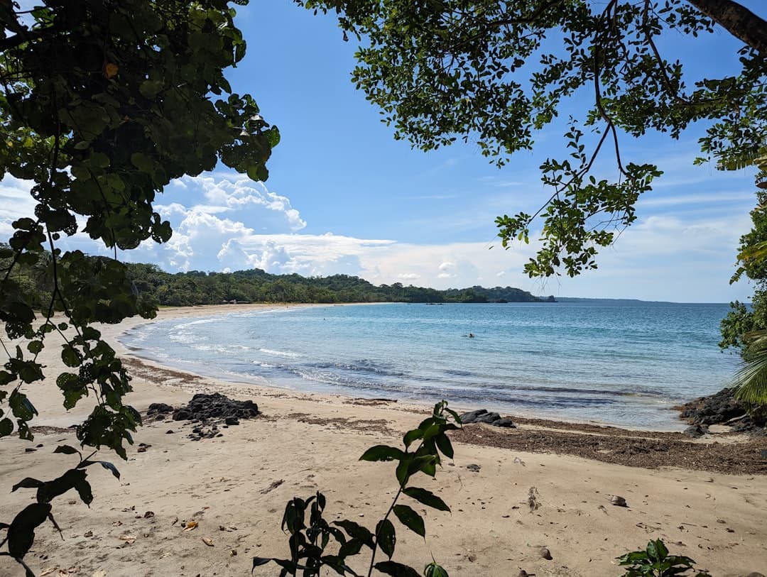 Bocas del Toro