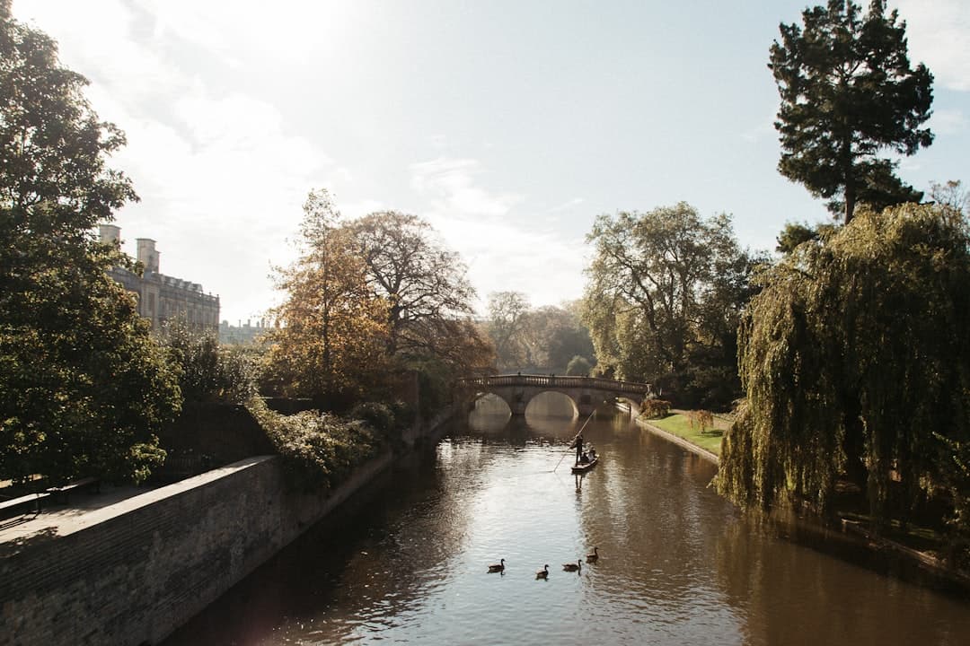 Bodas en Cambridge