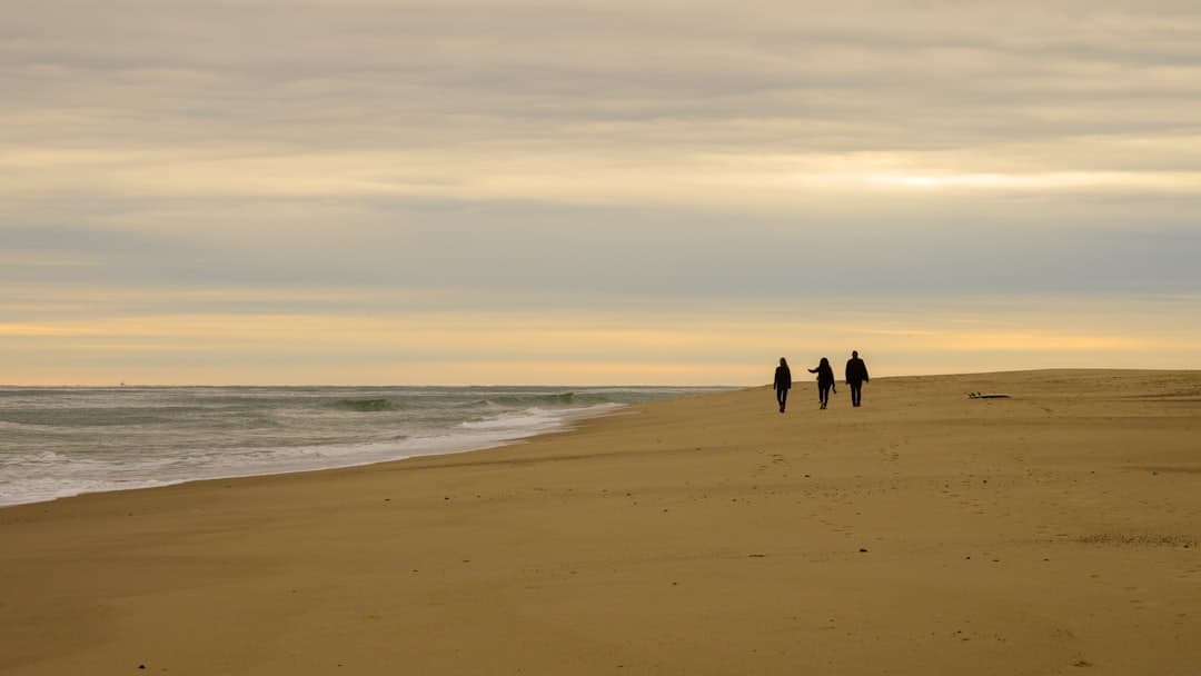 Bodas en Cape Cod