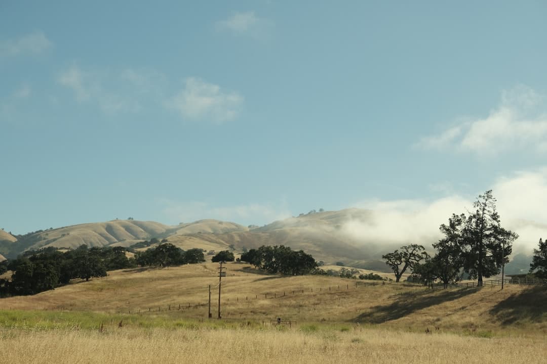 Bodas en Carmel Valley