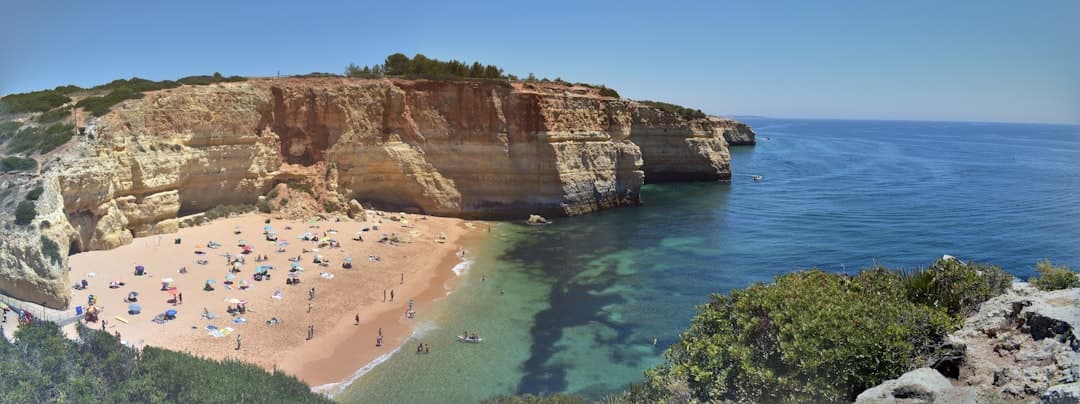 Carvoeiro
