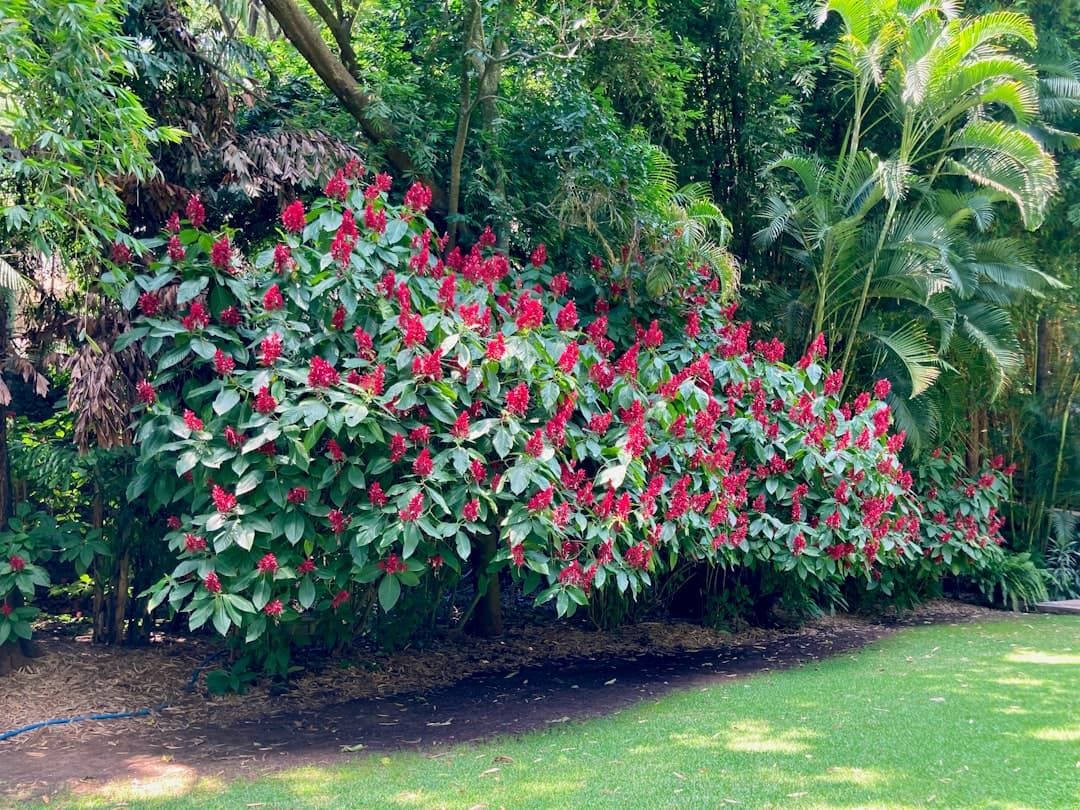 Bodas en Cuernavaca - El paraíso de las bodas en jardines bajo la eterna primavera