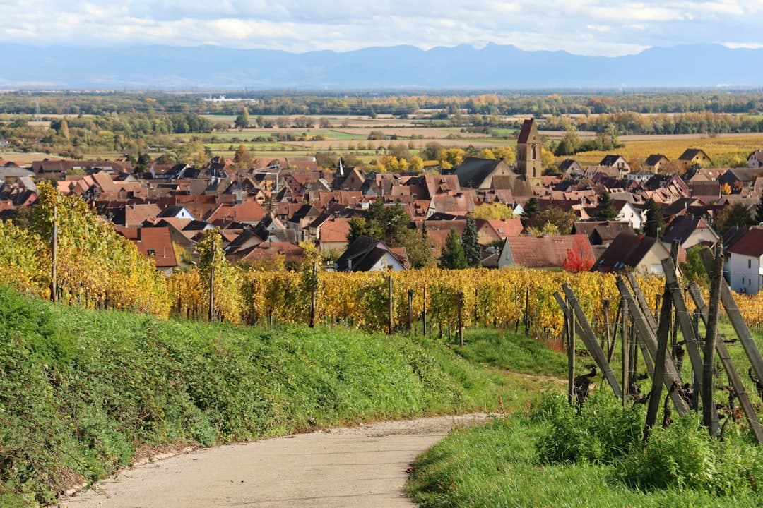 Eguisheim