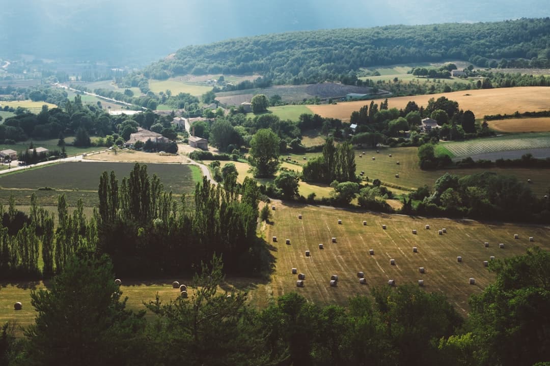 Bodas en Èze
