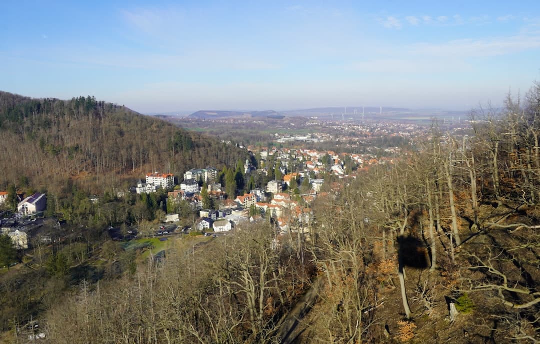 Bodas en Goslar