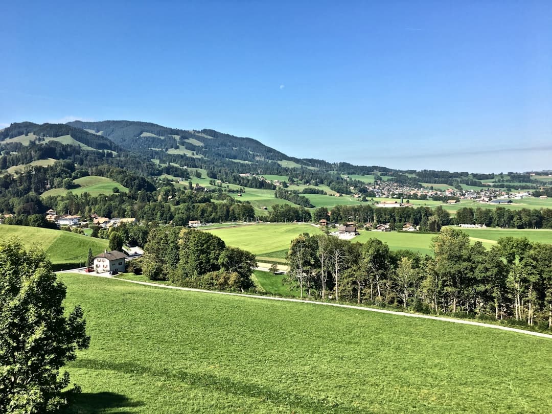 Gruyères