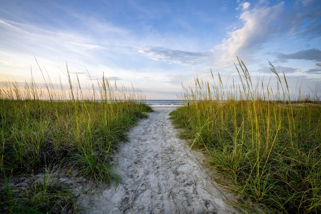 Bodas en Hilton Head