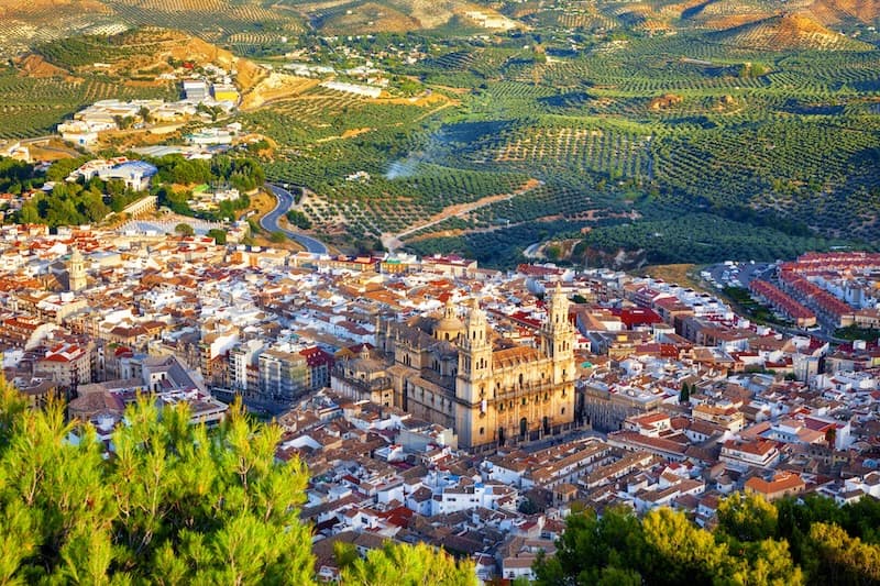 Bodas en Jaén - Un mar verde de olivos milenarios