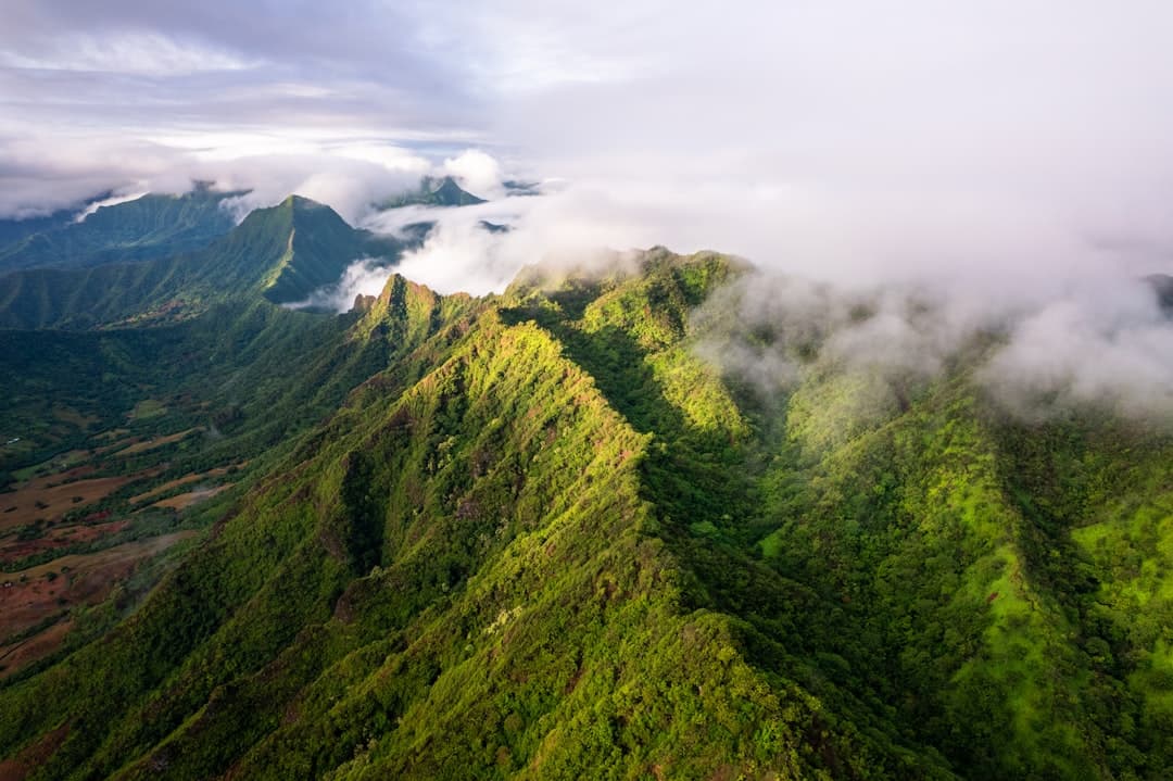 Bodas en Kauai