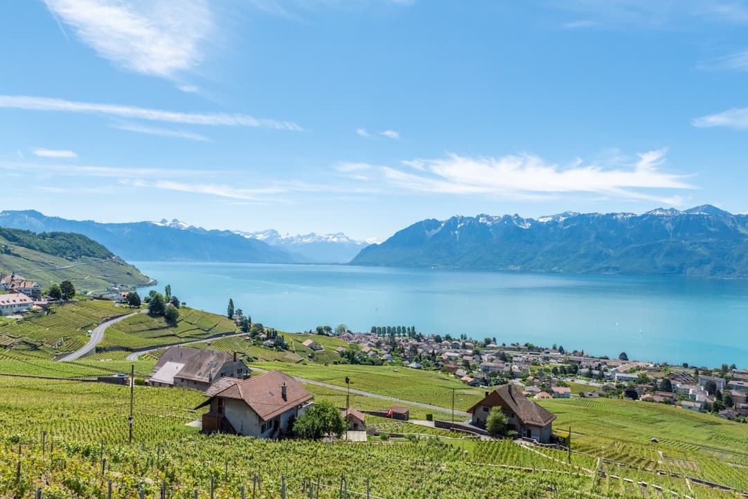 Bodas en Lake Geneva