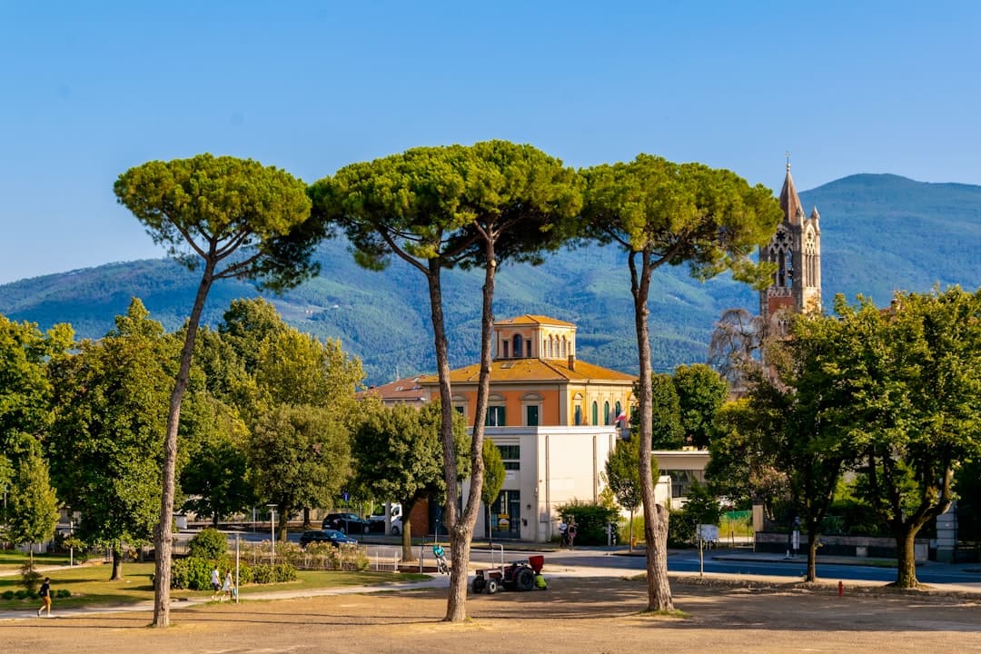 Bodas en Lucca