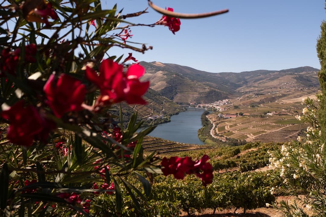 Marvão