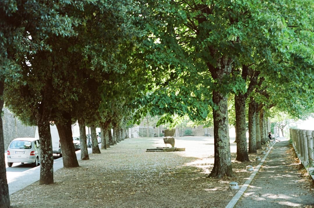 Montalcino