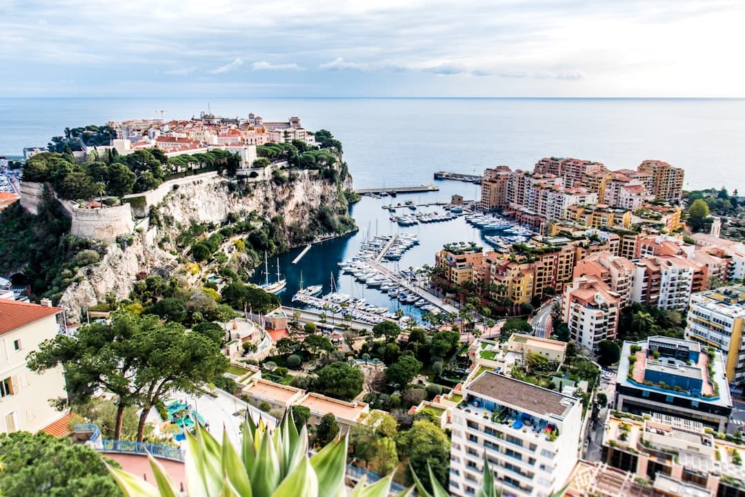 Monte Carlo