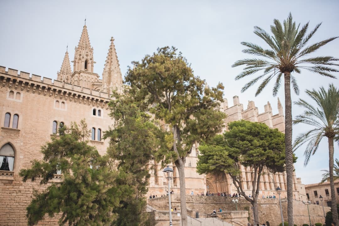 Bodas en Palma de Mallorca - Glamour isleño entre calas turquesas