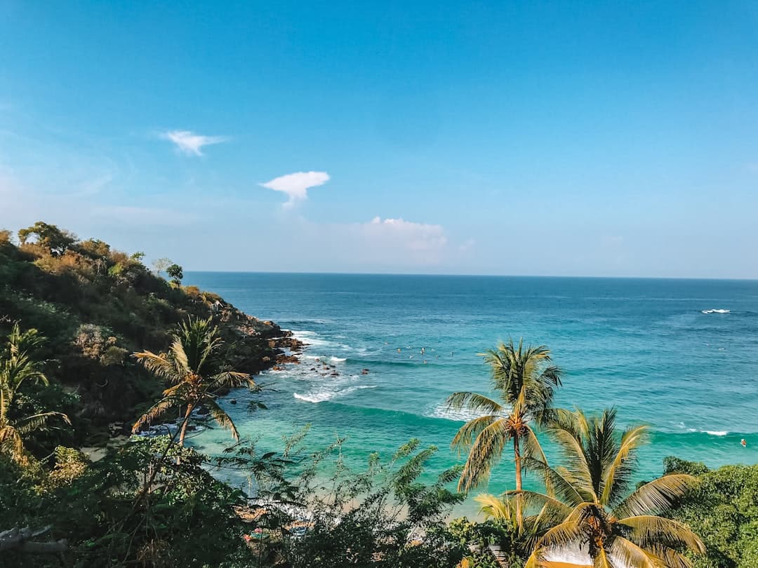 Bodas en Puerto Escondido