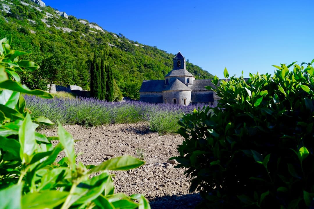 Saint-Rémy-de-Provence