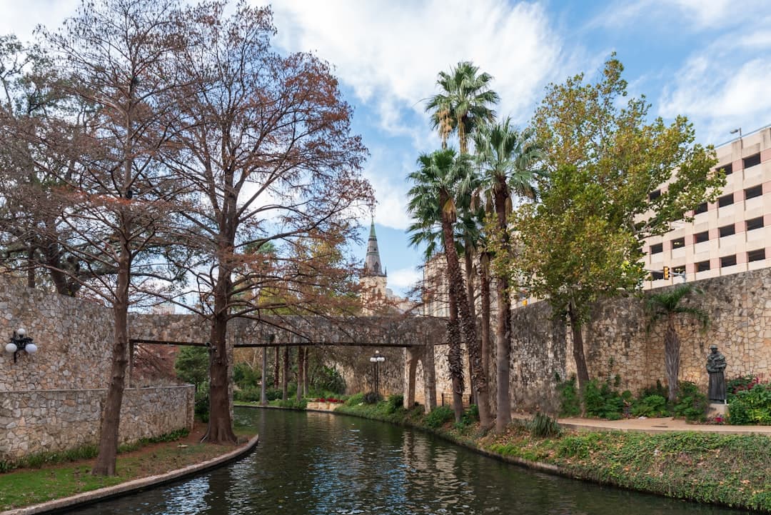 Bodas en San Antonio