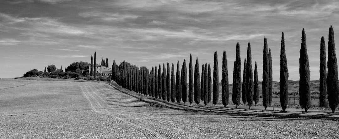 San Quirico d'Orcia