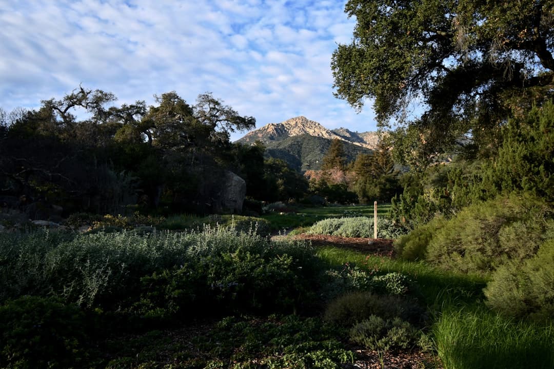 Santa Barbara