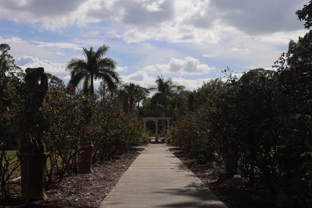 Sarasota