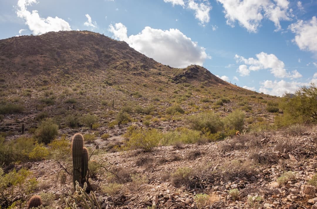 Bodas en Scottsdale