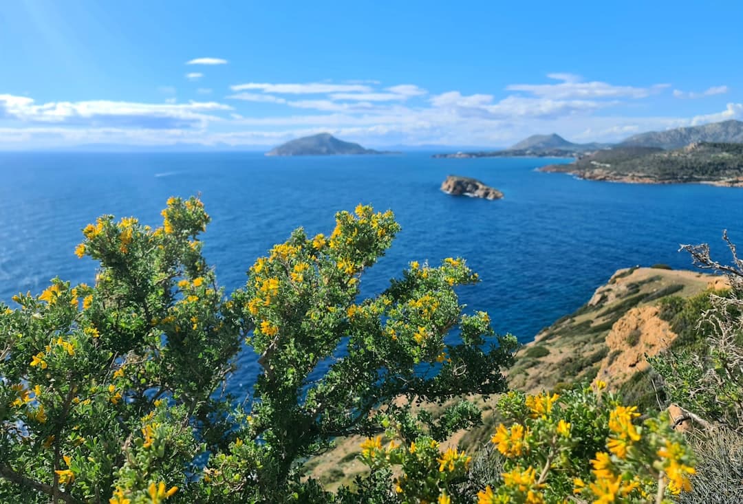 Bodas en Syros