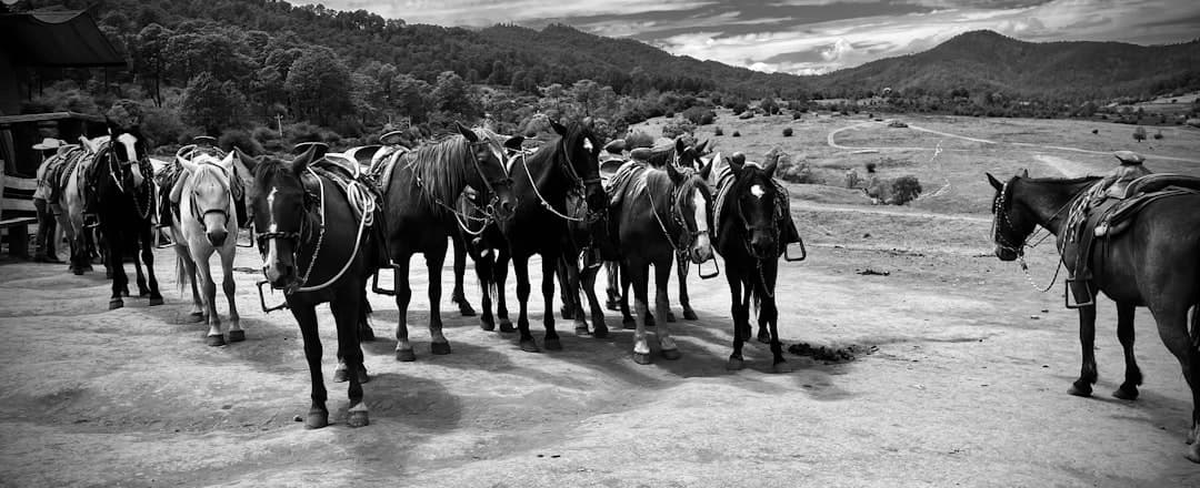 Bodas en Tapalpa