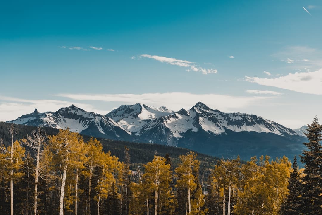 Bodas en Telluride