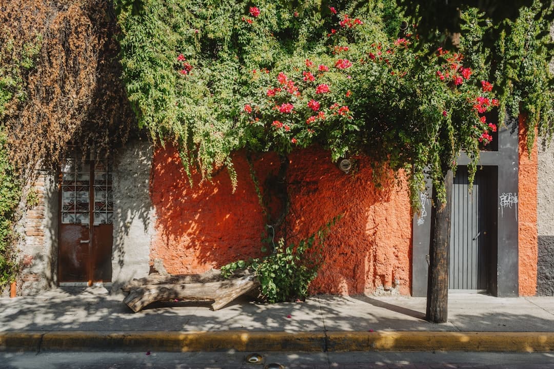 Bodas en Tlaquepaque