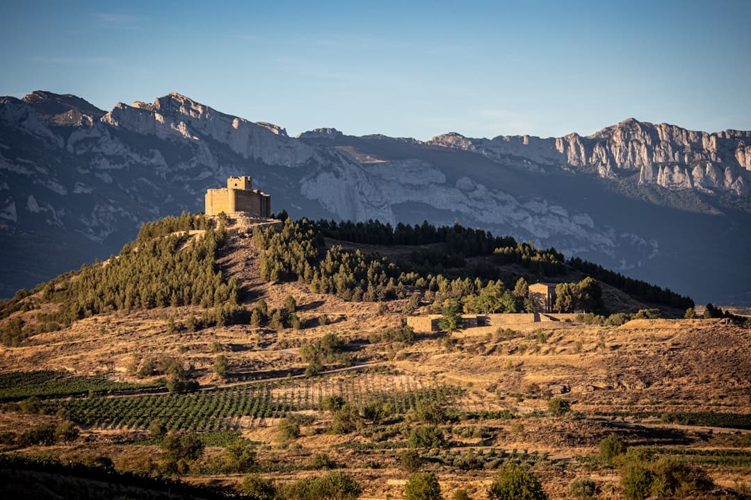 Vejer de la Frontera