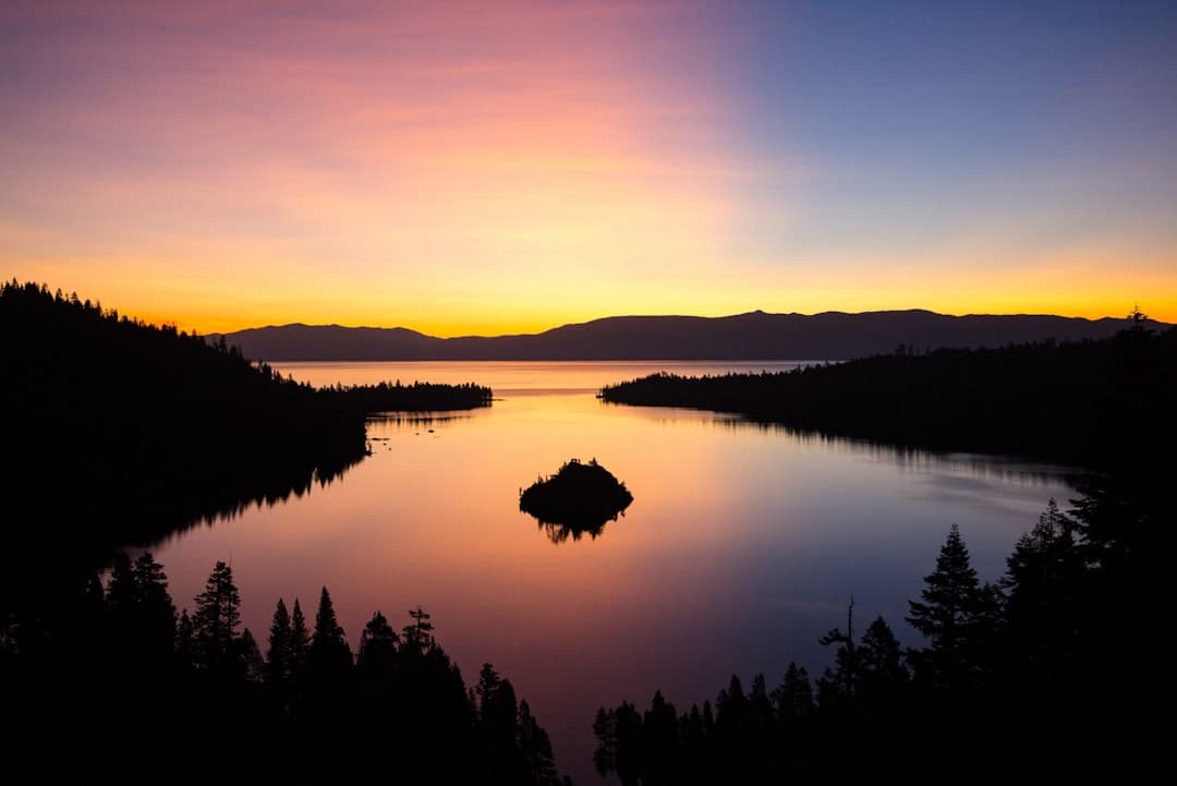 Whitefish