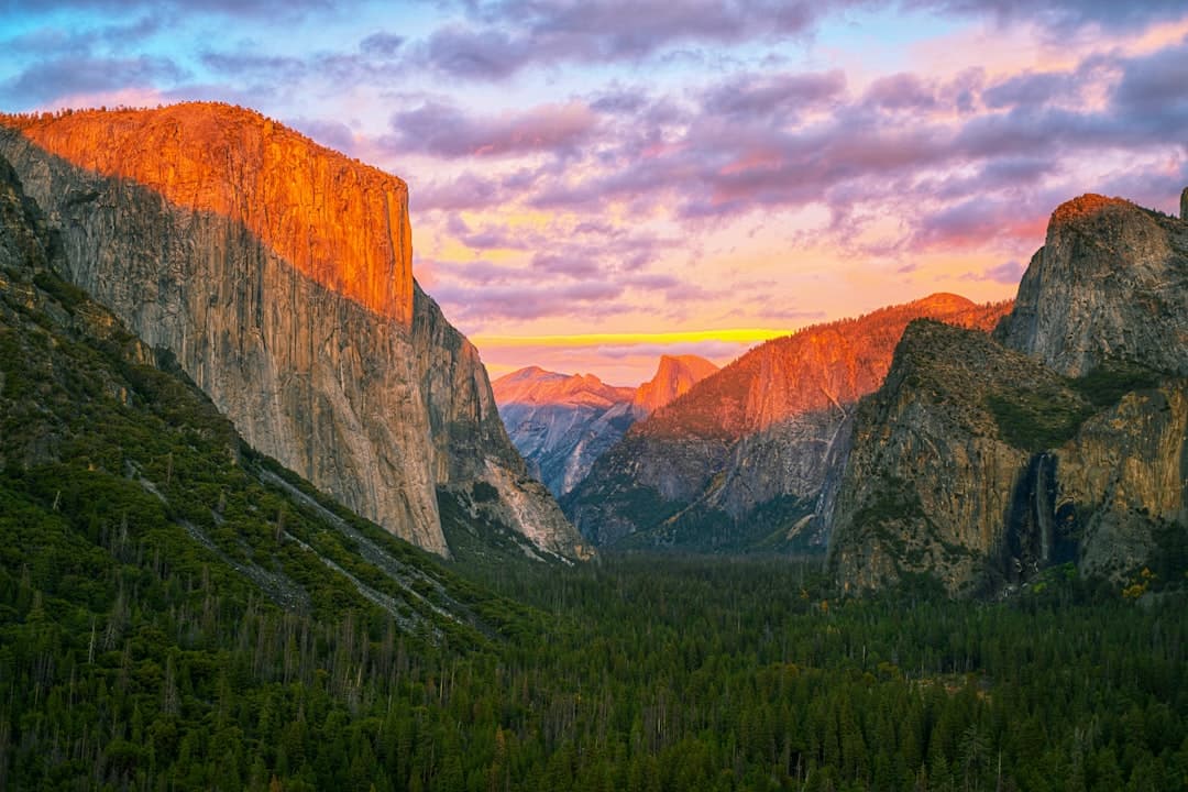 Bodas en Yosemite