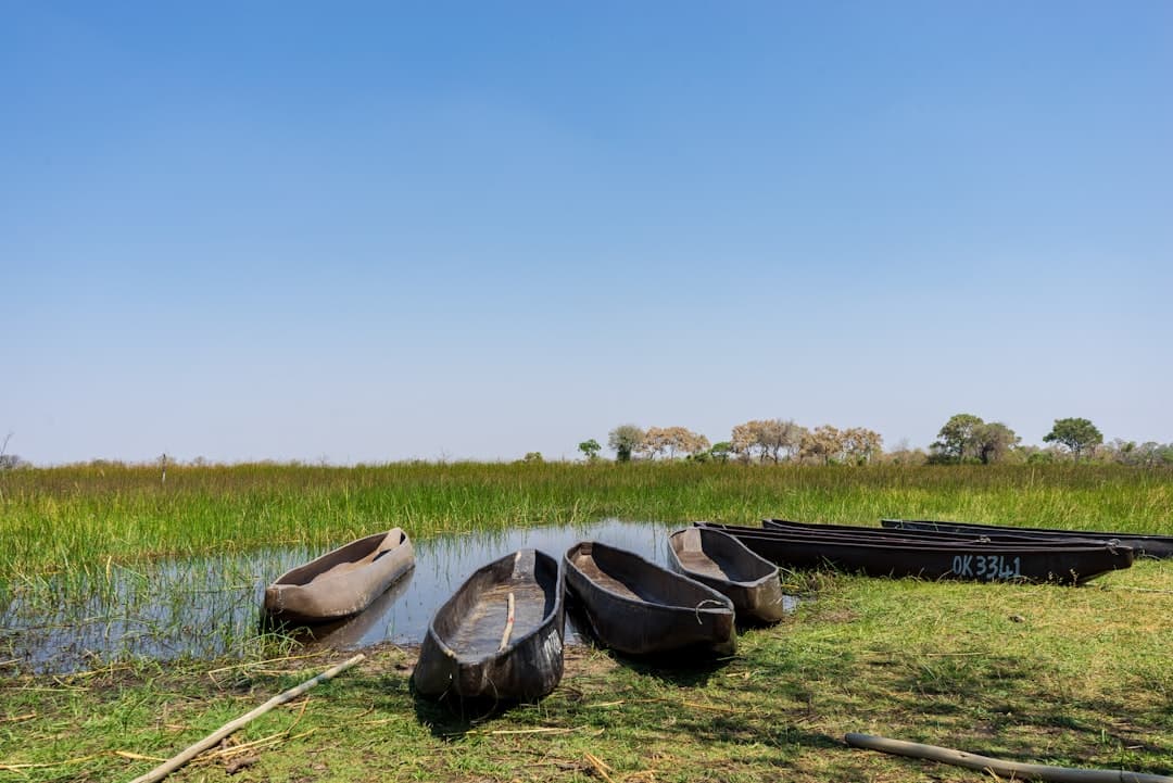 Luna de miel en Delta del Okavango, Botsuana