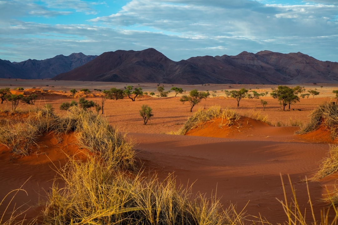 Luna de miel en Sossusvlei & Namib Desert, Namibia